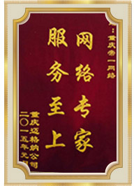 網絡專家錦旗