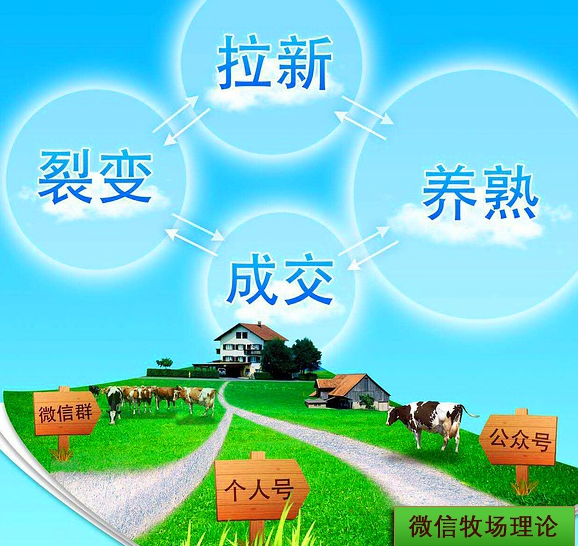 微信互聯網的核武器牧場理論
