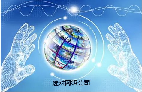 選擇網絡公司